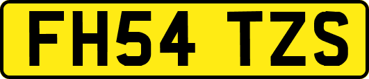 FH54TZS
