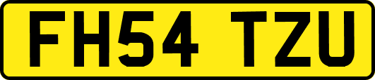 FH54TZU