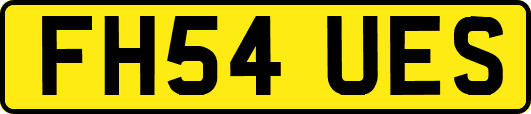 FH54UES