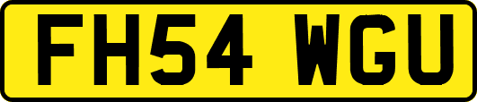 FH54WGU