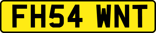 FH54WNT