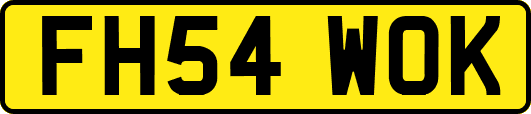 FH54WOK