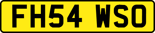 FH54WSO