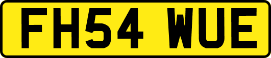 FH54WUE