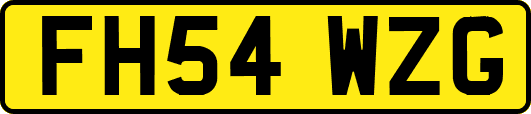 FH54WZG