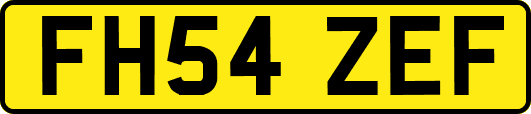 FH54ZEF