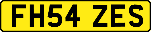 FH54ZES