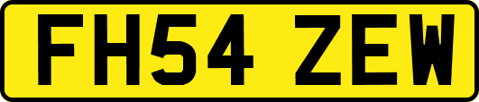 FH54ZEW