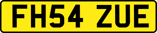 FH54ZUE