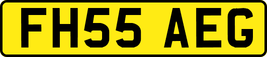 FH55AEG