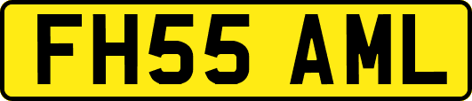 FH55AML