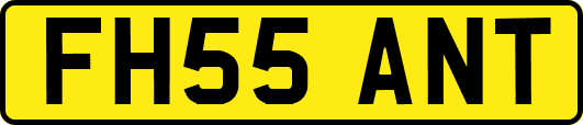 FH55ANT
