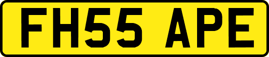 FH55APE