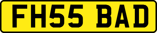 FH55BAD