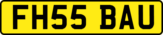 FH55BAU