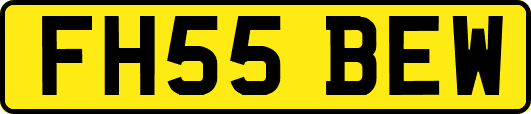 FH55BEW