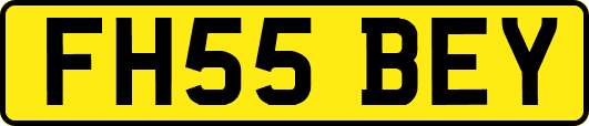 FH55BEY