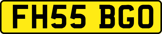 FH55BGO