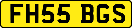 FH55BGS