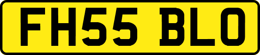 FH55BLO