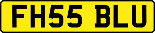FH55BLU