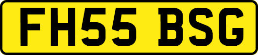FH55BSG