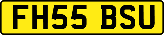 FH55BSU