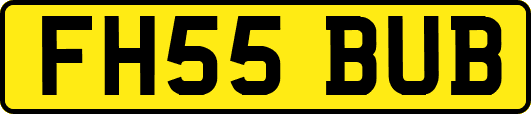 FH55BUB