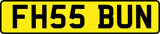 FH55BUN