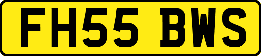 FH55BWS