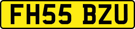 FH55BZU