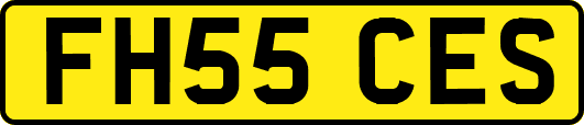 FH55CES