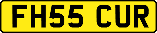 FH55CUR