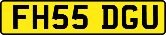 FH55DGU