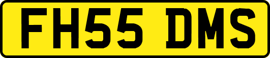 FH55DMS