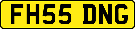 FH55DNG