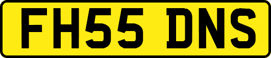 FH55DNS