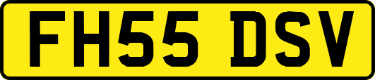 FH55DSV