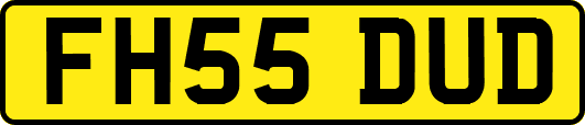 FH55DUD