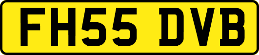 FH55DVB