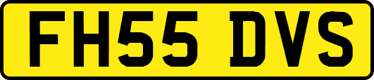 FH55DVS