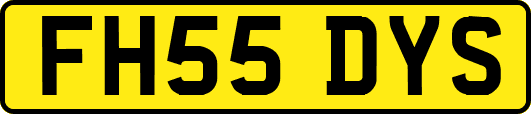 FH55DYS