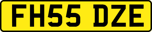 FH55DZE