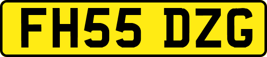 FH55DZG