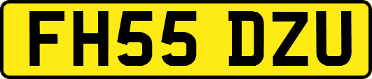 FH55DZU