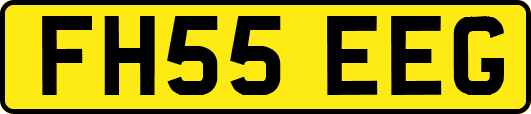 FH55EEG