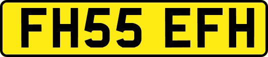 FH55EFH