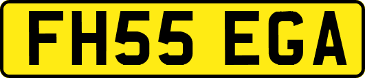 FH55EGA