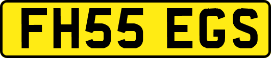 FH55EGS