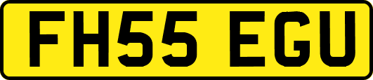 FH55EGU